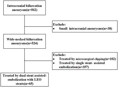 Safety and effectiveness of LEO stents for dual stent-assisted embolization combined with IA and IV intra-procedural infusion of tirofiban in the treatment of wide-necked intracranial bifurcation aneurysms